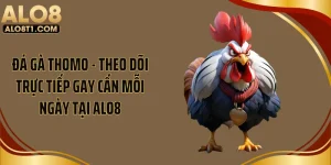 Đá Gà Thomo - Theo Dõi Trực Tiếp Gay Cấn Mỗi Ngày Tại ALO8