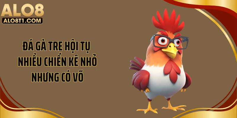 Đá gà tre hội tụ nhiều chiến kê nhỏ nhưng có võ