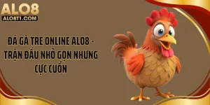 Đá Gà Tre Online ALO8 - Trận Đấu Nhỏ Gọn Nhưng Cực Cuốn