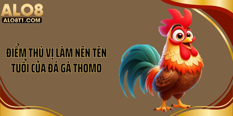 Điểm thú vị làm nên tên tuổi của đá gà Thomo