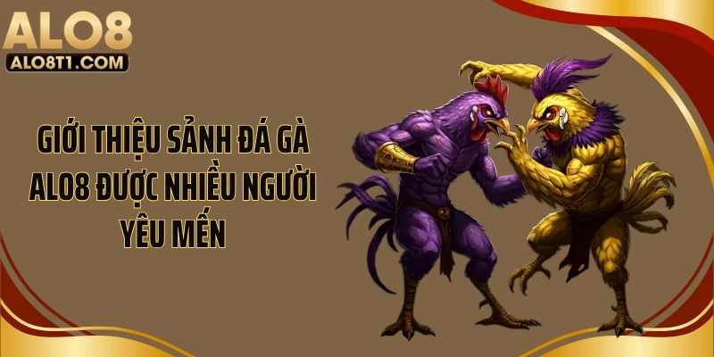 Giới thiệu sảnh đá gà ALO8 được nhiều người yêu mến