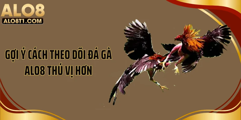 Gợi ý cách theo dõi đá gà ALO8 thú vị hơn