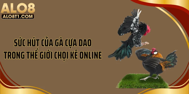 Sức hút của gà cựa dao trong thế giới chọi kê online