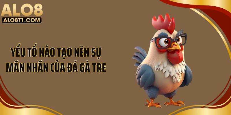 Yếu tố nào tạo nên sự mãn nhãn của đá gà tre